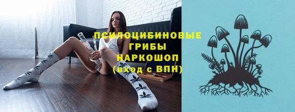 PSILOCYBIN Балабаново