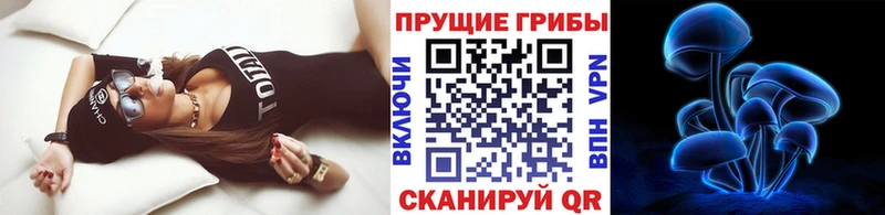 Псилоцибиновые грибы GOLDEN TEACHER  где можно купить наркотик  Шлиссельбург 