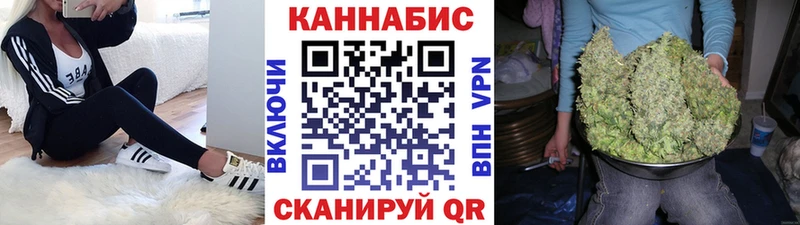 Бошки марихуана сатива  Шлиссельбург 